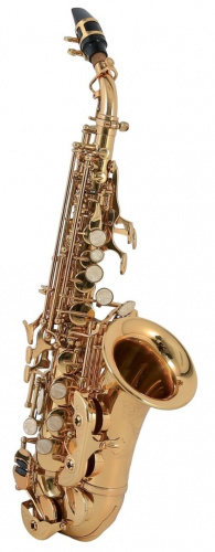 Roy Benson SG-302 Bb сопрано саксофон и футляр