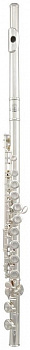 Roy Benson FL-402Е флейта с футляром