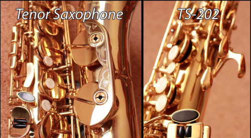Roy Benson TS-202 Bb тенор саксофон и футляр