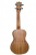 Flight DUC 525 SP/ZEB укулеле концерт с чехлом Flight DUC 525 SP/ZEB укулеле концерт с чехлом