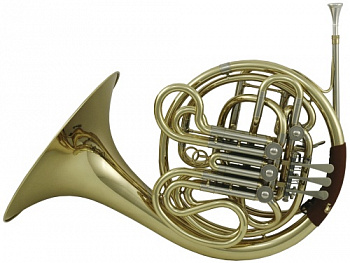 Roy Benson HR-501 F/Bb-Bb/F валторна с футляром