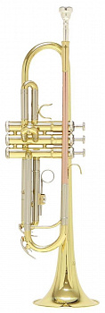 Roy Benson TR-202 Bb труба и футляр