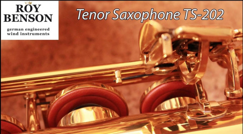 Roy Benson TS-202 Bb тенор саксофон и футляр