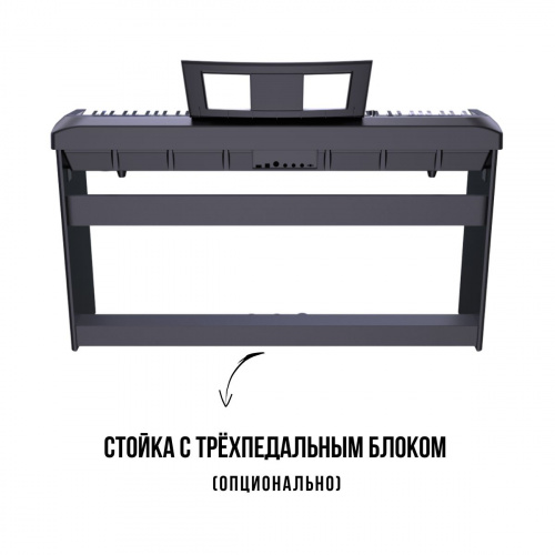 Компактное цифровое пианино Beisite S-198 Pro Lite BK черный 88 клавиш, педаль сустейн и блок питания в комплекте