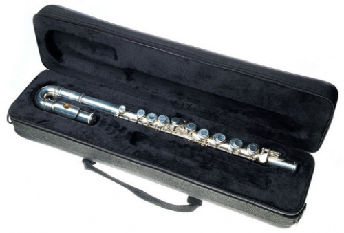 Roy Benson FL-102 флейта с футляром