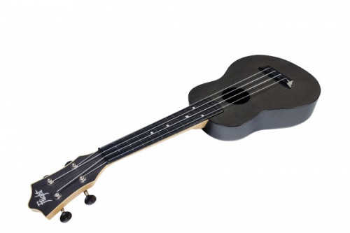 Flight TUS 35 BK укулеле сопрано и чехол