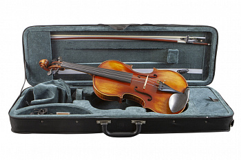 Prima P-400 4/4 скрипка в комплекте