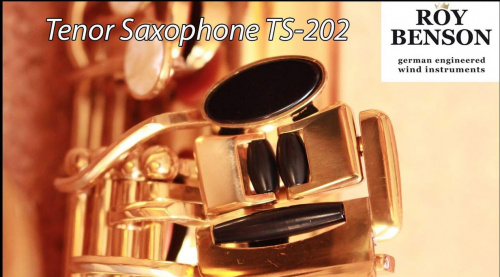 Roy Benson TS-202 Bb тенор саксофон и футляр