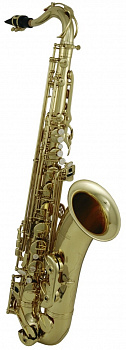 Roy Benson TS-202 Bb тенор саксофон и футляр