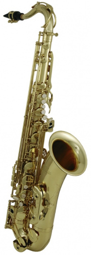 Roy Benson TS-202 Bb тенор саксофон и футляр