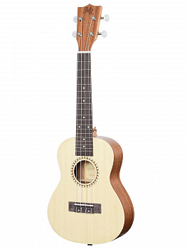 Martin Romas MR-02G укулеле концерт и чехол