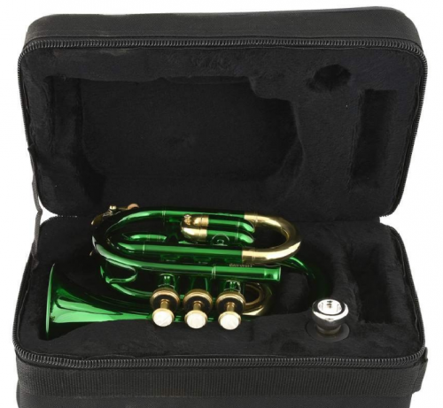 Roy Benson PT-101E Bb труба карманная и футляр