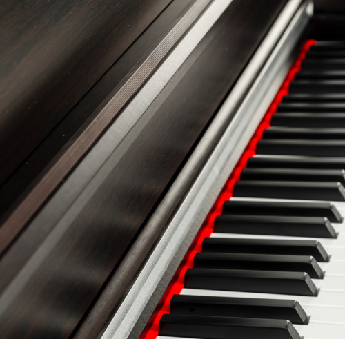 Цифровое пианино электронное Beisite B-808 Pro BN коричневое, 88 клавиш рояльного типа, клавиатура полновзвешенная