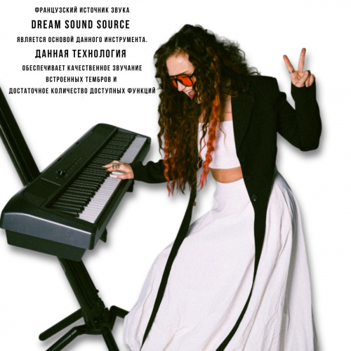 Компактное цифровое пианино Beisite S-198 Pro Lite BK черный 88 клавиш, педаль сустейн и блок питания в комплекте