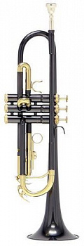 Roy Benson TR-101K Bb труба и футляр