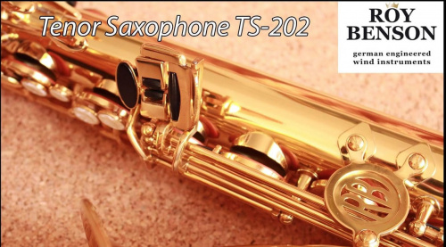 Roy Benson TS-202 Bb тенор саксофон и футляр