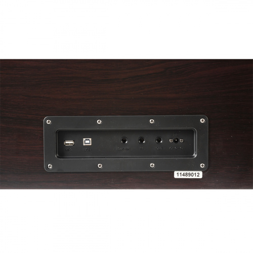 Цифровое пианино электронное Beisite B-808 Pro BN коричневое, 88 клавиш рояльного типа, клавиатура полновзвешенная